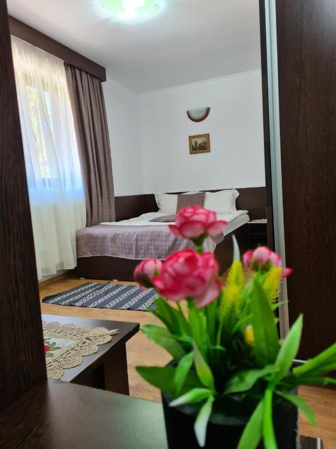 Hotel Casa Teleferic Buşteni Exterior foto